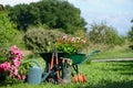 Gardening three