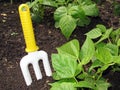 Gardening tool