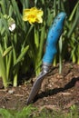 Gardening tool Royalty Free Stock Photo