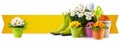 Gardening tool equipment, banner with copy space. Rubber boots, daisies, pot, flowers and watering can isolated on white Royalty Free Stock Photo