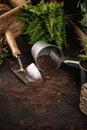 Gardening tools composition Royalty Free Stock Photo