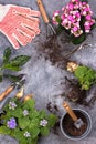 Gardening tools on dark wooden background with space for text top view Royalty Free Stock Photo