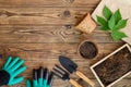 Gardening tools, digging gloves, coconut fiber pots and soil on wooden table. Cultivation and caring for indoor potted plants.