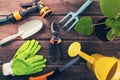 Gardening tools and equipment on wooden background