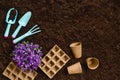 Gardening tools on garden soil texture background top view Royalty Free Stock Photo