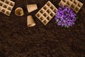 Gardening tools on garden soil texture background top view Royalty Free Stock Photo