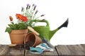 Gardening Tools and Flowers Royalty Free Stock Photo