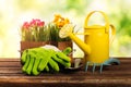 Gardening tools and flowers on old wooden table Royalty Free Stock Photo