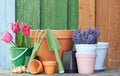 Gardening tools and flowers: tulips, terracotta clay flower pots with black plastic containers and garden tools on wooden table Royalty Free Stock Photo