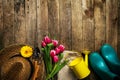 Gardening tools, flowers, watering can, rubber boots and straw h Royalty Free Stock Photo