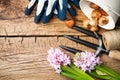 Gardening Tools with Flowers on Wood Background Royalty Free Stock Photo