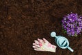 Gardening tools on garden soil texture background top view Royalty Free Stock Photo
