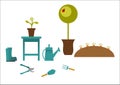 Gardening tools on a gray background