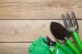 Gardening tools on grey wooden background, top view Royalty Free Stock Photo