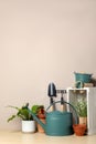 Gardening tools and houseplants on wooden table Royalty Free Stock Photo