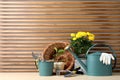 Gardening tools and houseplants on wooden table. Space for text Royalty Free Stock Photo