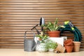 Gardening tools and houseplants on wooden table. Space for text Royalty Free Stock Photo