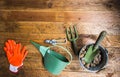 Gardening equipment on wooden floor Royalty Free Stock Photo