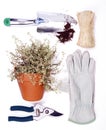 Gardening tools isolated