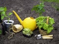 gardening tools and objects on soil background Royalty Free Stock Photo