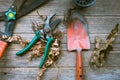 Gardening tools on old wooden table Royalty Free Stock Photo