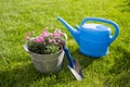 Gardening Tools and Pink Canation Flowers in Tin Bucket standing on Grass Royalty Free Stock Photo