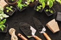 Gardening tools and plants Royalty Free Stock Photo