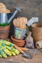 Gardening tools, pots and utensils on rustic wooden background Royalty Free Stock Photo