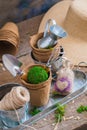 Gardening tools, pots and utensils on rustic wooden background Royalty Free Stock Photo