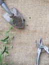 Gardening tools Secateurs spade and soil with plant Royalty Free Stock Photo