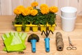gardening tools for gardening and seedlings seasonal garden