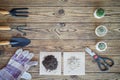 Gardening tools and set of plant care utensils on wooden table, top view, garden maintenance landscaping and hobby concept