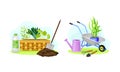 Gardening tools set. Seedlings, wheelbarrow, shovel, watering can, spade agricultural elements vector illustration Royalty Free Stock Photo
