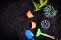 Gardening tools on soil background ready to planting flowers and small plant in the garden works concept gardening flower pots Royalty Free Stock Photo