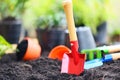 Gardening tools on soil background ready to planting flowers and small plant in the spring garden works concept gardening flower Royalty Free Stock Photo