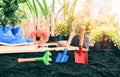 Gardening tools on soil background ready to planting flowers and small plant in the spring garden works concept gardening in sunny Royalty Free Stock Photo