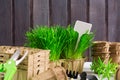Gardening tools for spring seedling with sprouted grass, organic pots, pruner and white label for text on wooden background