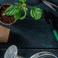 Gardening tools, top shot on a dark wooden background Royalty Free Stock Photo