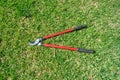 Gardening tools on grass green background