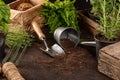 Gardening tools and utensils Royalty Free Stock Photo