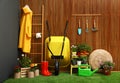 Gardening tools with wheelbarrow and flowers Royalty Free Stock Photo