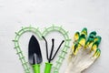 Gardening tools on white background, flat lay, copy space, top view. Concept of hobby, springtime, garden maintenance, landscaping