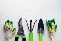 Gardening tools on white background, flat lay, copy space, top view. Concept of hobby, springtime, garden maintenance, landscaping