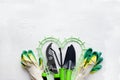 Gardening tools on white background, flat lay, copy space, top view. Concept of hobby, springtime, garden maintenance, landscaping