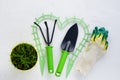 Gardening tools on white background, flat lay, copy space, top view. Concept of hobby, springtime, garden maintenance, landscaping