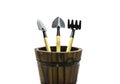Gardening tools in wooden barrel on isolate background.