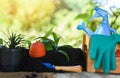 Gardening tools on wooden box with equipment garden gloves rubber watering can pot for planting plant and tree on soil at back Royalty Free Stock Photo