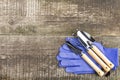 Gardening tools and work gloves on an old wooden table, top view, copy space Royalty Free Stock Photo