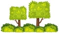 Gardening trees and bushes on white background