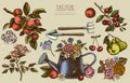 Gardening vintage illustrations collection. Hand drawn logo designs with watering can, apples, cherry, rose, pears